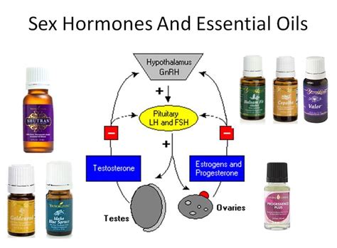 Hormone und Pflanzen - Young Living - "Seed to Seal" Qualität ...