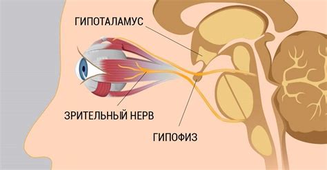 Как улучшить зрение: пара дельных советов для всех
