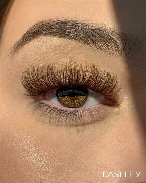 lashify reviews worth  hype clothedup