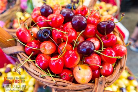 🍒 Празник на черешата - Кюстендил, България - 2022 / Cherry Festival ...