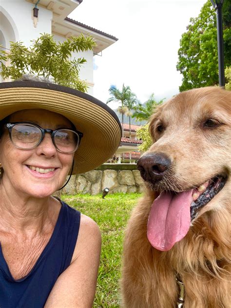Virtual dog training | Dog behavior specialist
