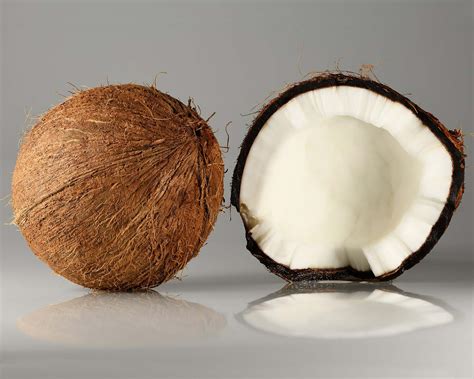 Cocos nucifera | GardensOnline
