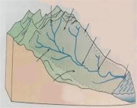 River Drainage Basins Quiz