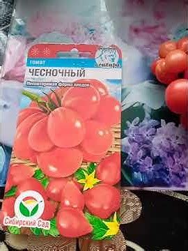 томат Чесночный - YouTube