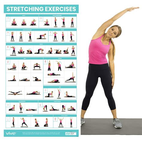Amazon.com: Vive Workout Posters for Home Gym - 52 Streching Exercises