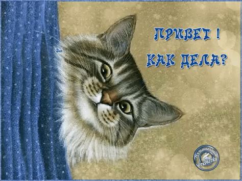 Привет! Как дела? | Забавные иллюстрации, Веселые картинки, Открытки