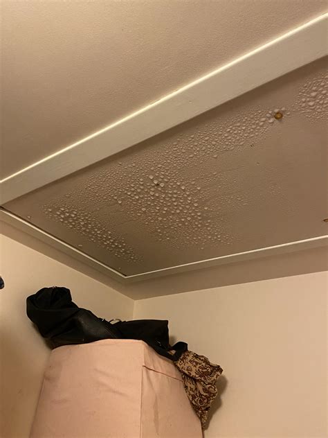 How to stop condensation buildup on my attic ladder? : r/howto