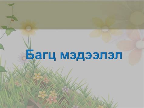 Багц мэдээлэл