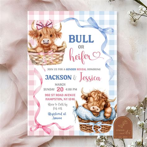 Preppy Bow Highland Cow Gender Reveal, Bull or Heifer Cow Gender Reveal