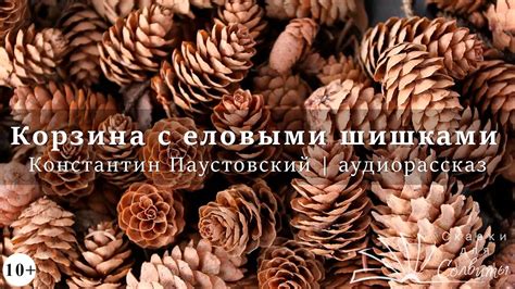 Корзина с еловыми шишками | Константин Паустовский | Аудиокнига ...