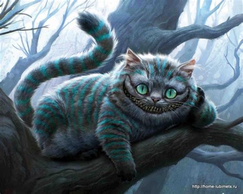Чеширский кот - Домашний любимец