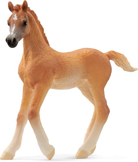 Amazon.com: Schleich HORSE CLUB - 3" Arab Foal - Hand-Painted