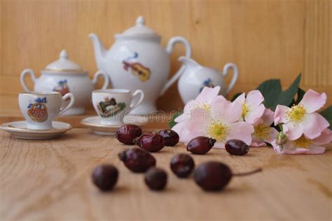 Medicinal Plants - Eglantine Stock Photo - Image of pamper, organic ...