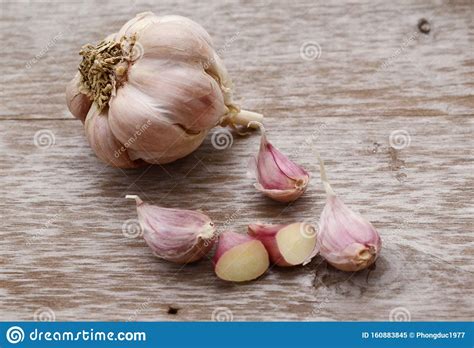 Garlic cloves. stock image. Image of eating, herb, flavor - 160883845