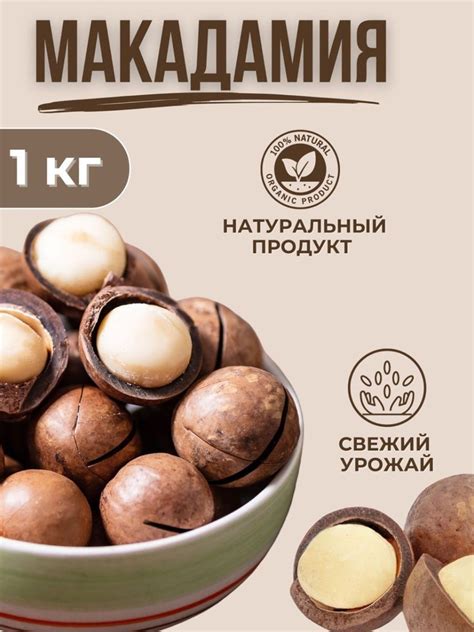 Макадамия орех в скорлупе 1 кг - купить с доставкой по выгодным ценам в ...