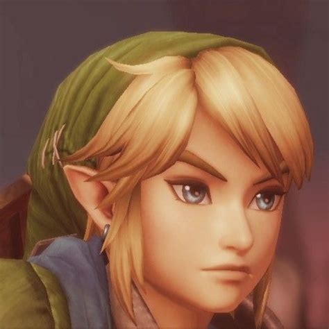 Hyrule Warriors Link | Hyrule warriors, Zelda hyrule warriors, Legend ...