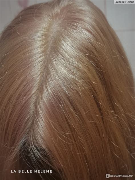 Гель-крем краска Wella Shinifinity Zero Lift Glaze для тонирования и ...