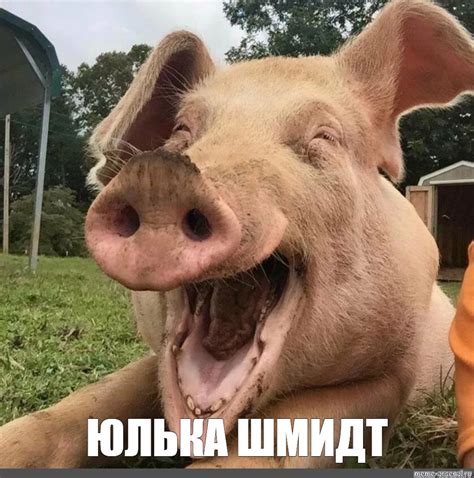 Создать мем "радостная свинья, свинья смеется, улыбка свиньи ...