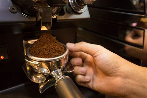 Basic+ Word of the Day: grind – WordReference Word of the Day