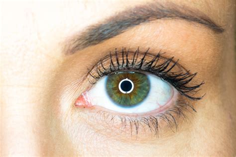 yeux marrons verts tout savoir sur les yeux  les couleurs