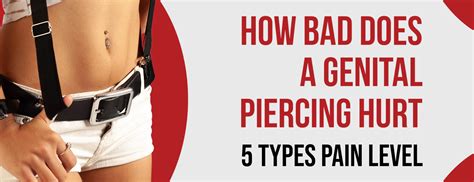 genital piercing  painful facts
