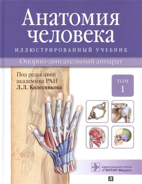 Книга: Анатомия человека. Иллюстрированный учебник. В 3-х томах. Том 1 ...