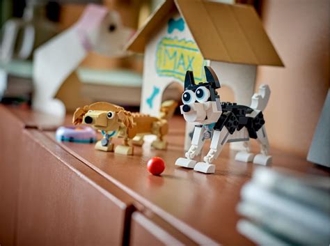 Build Your Very Own Canine Companion with LEGO Adorable Dogs Set
