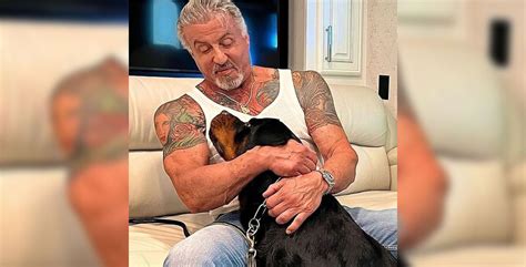 La esposa de Sylvester Stallone solicita el divorcio - Stereocien Digital