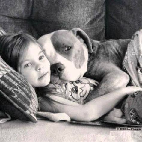 images  pitbulls kids  pinterest pit bull pitbulls  pitbull