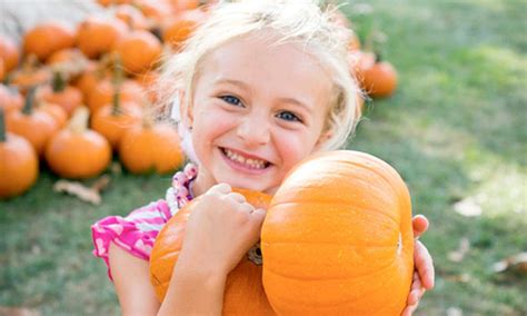 Irvine Park Railroad Pumpkin Patch - Irvine Standard