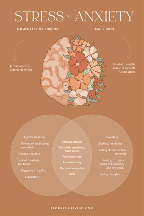 Exploring the Stress-Anxiety Connection- Flourish