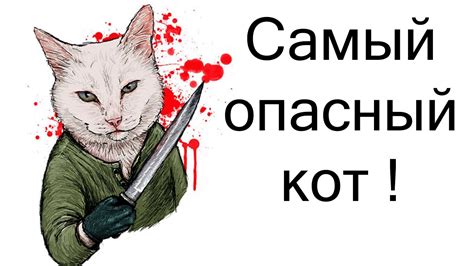 Самый опасный кот ! ( Furry fighter ) - YouTube