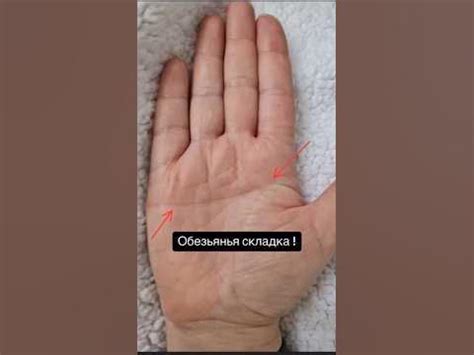 Обезьянья складка! #хиромантия #тайнажизни #судьбачеловека - YouTube