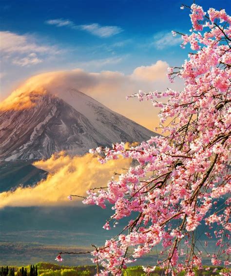 Circuit Japonia cireșilor înfloriți - Tur Clasic | Cu Exact Travel