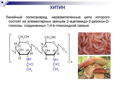 Олигосахариды и полисахариды - презентация онлайн