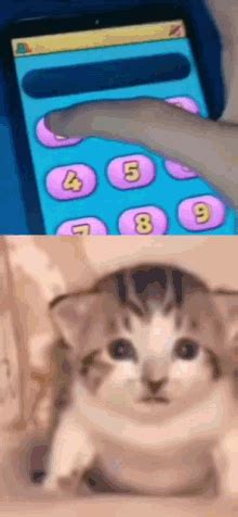 кот Zxc GIF - Кот Zxc Dead Inside - Discover & Share GIFs