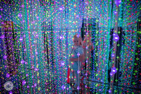 Meta Art World Melbourne – Immersive Metal Art & Interactive