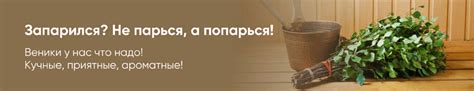 Дачник Уфа – официальный сайт, сеть магазинов