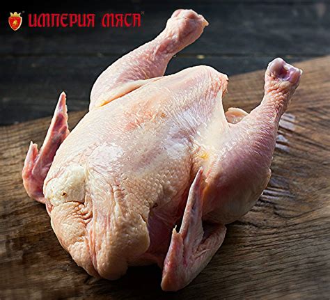 Цыпленок корнишон — Империя Мяса