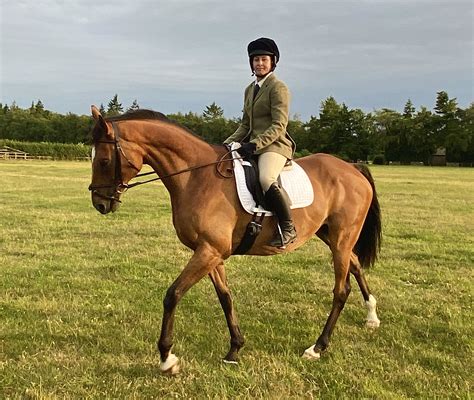 360 Racing Club – Claire Hart Equine