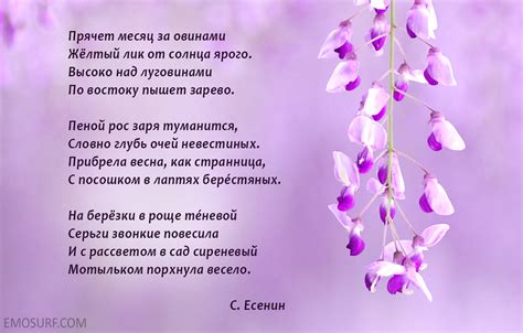 Красивые стихи о весне