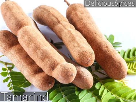 Tamarind Pods, Tamarind Whole, Sour & Sweet Tamarind, 100% Pure Organic ...