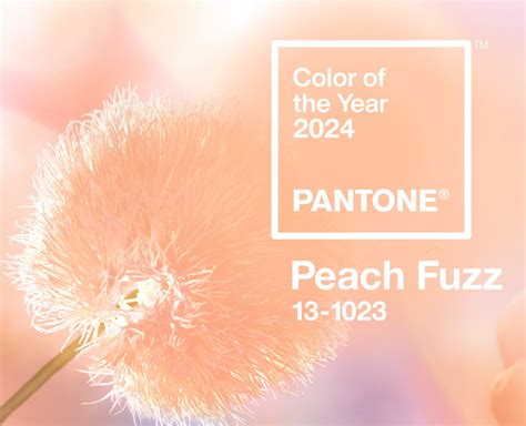 Pantone Colors 2025 Chart Uk - Dan Tucker