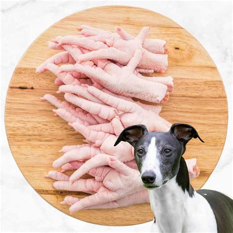 Can Dogs Eat Chicken Feet? What You Need To Know