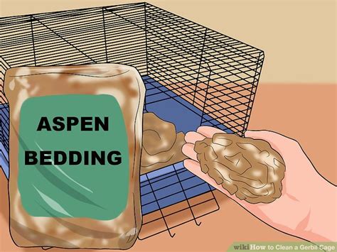 How to Clean a Gerbil Cage: 10 Steps (with Pictures) - wikiHow Pet