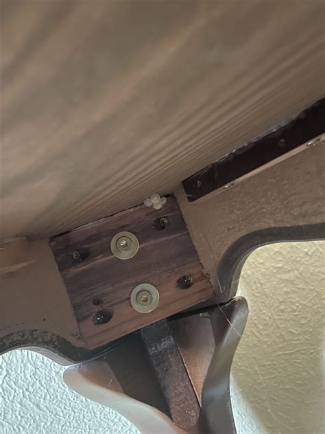 Do you think these eggs (if that’s what they are) are alive? What