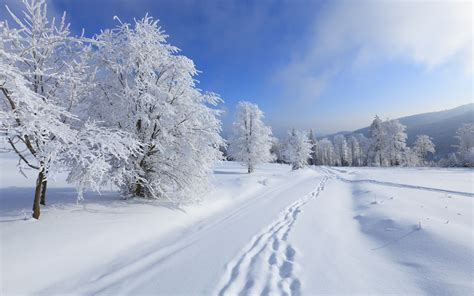 Зимний пейзаж скачать фото обои для рабочего стола (картинка 4 из 4)
