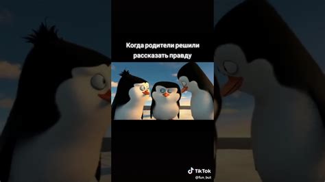 Пингвины - YouTube