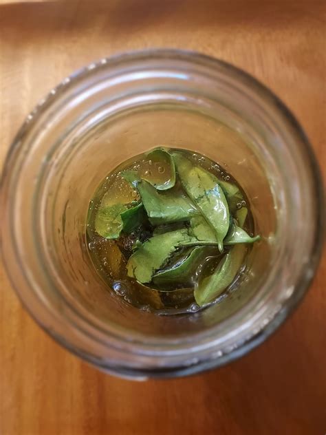 Started a kaffir lime leaf honey ferment : r/fermentation