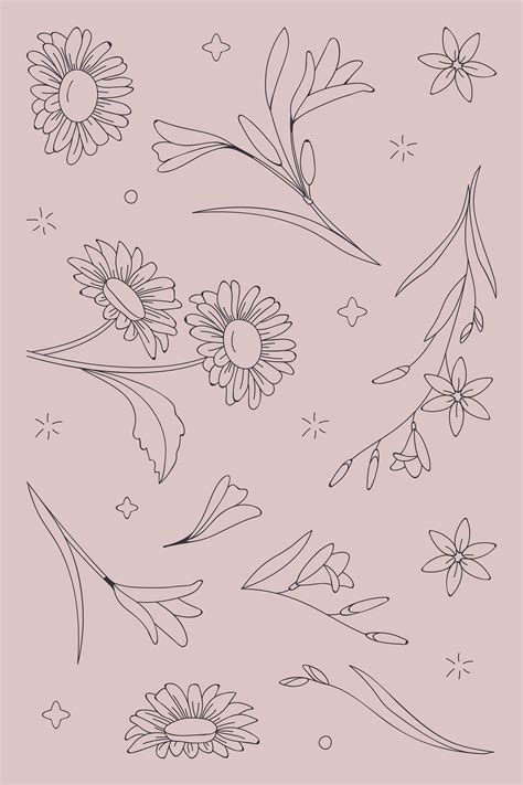 flower  vectors  illustrations drawings png clip art